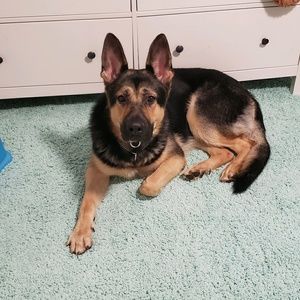 Meet your Posher, Jamie